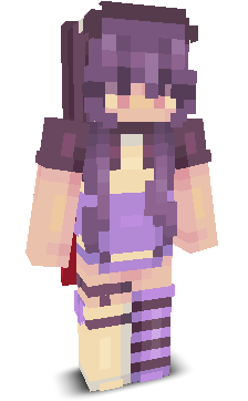 User's Minecraft appearance