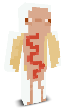 User's Minecraft appearance