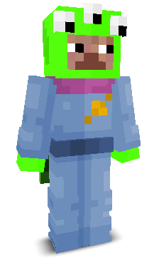 User's Minecraft appearance