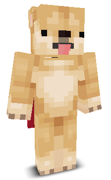 User's Minecraft appearance