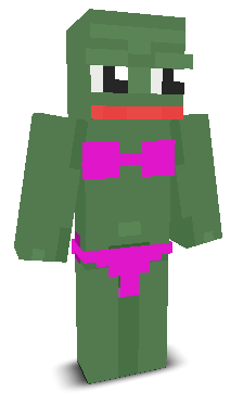 User's Minecraft appearance
