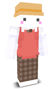 User's Minecraft appearance