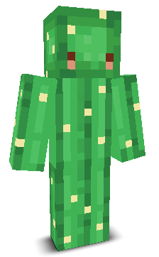 User's Minecraft appearance