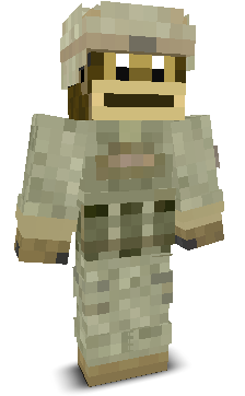 User's Minecraft appearance