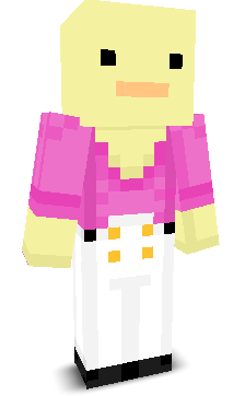 User's Minecraft appearance