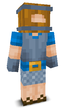 User's Minecraft appearance