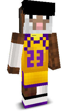 User's Minecraft appearance