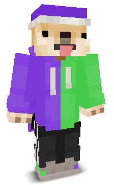 User's Minecraft appearance