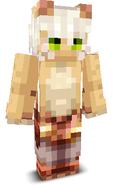 User's Minecraft appearance