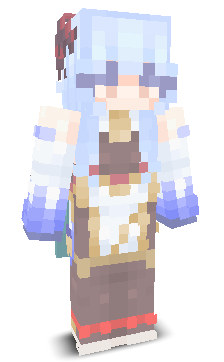 User's Minecraft appearance