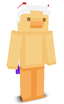 User's Minecraft appearance
