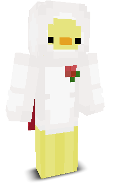 User's Minecraft appearance
