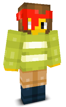 User's Minecraft appearance