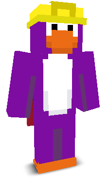 User's Minecraft appearance