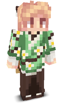 User's Minecraft appearance