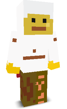 User's Minecraft appearance