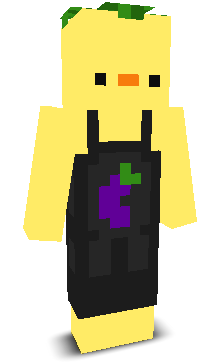 User's Minecraft appearance