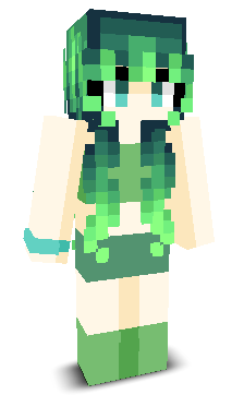 User's Minecraft appearance