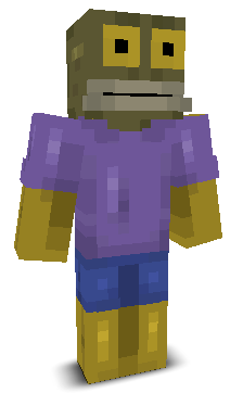 User's Minecraft appearance