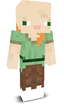 User's Minecraft appearance