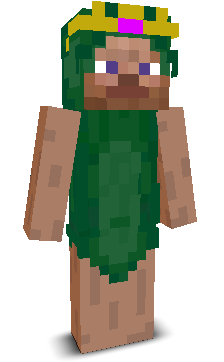 User's Minecraft appearance