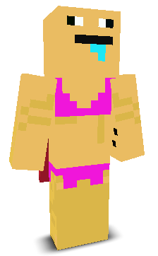 User's Minecraft appearance
