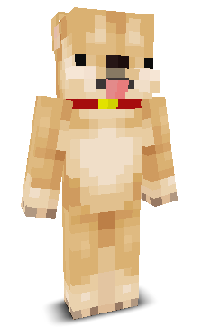hcfplayerZzz