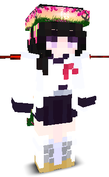 User's Minecraft appearance