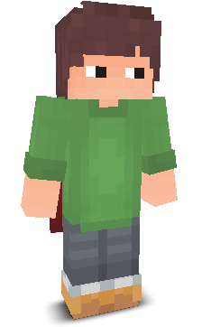 User's Minecraft appearance