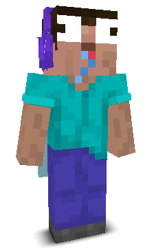 User's Minecraft appearance