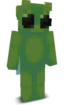 User's Minecraft appearance