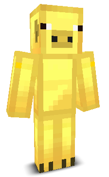 User's Minecraft appearance