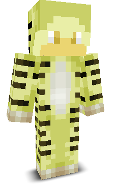 User's Minecraft appearance