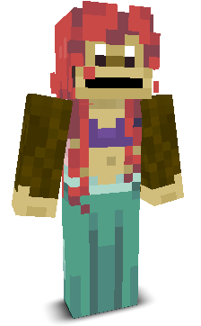User's Minecraft appearance