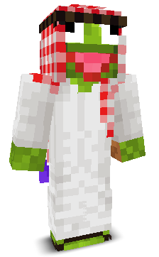 User's Minecraft appearance