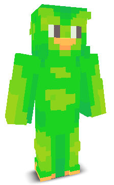 User's Minecraft appearance