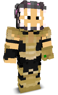 User's Minecraft appearance
