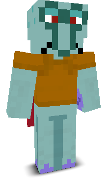 User's Minecraft appearance