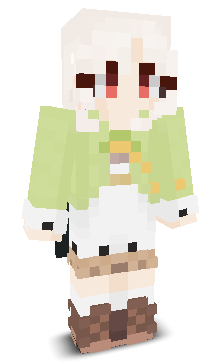 User's Minecraft appearance