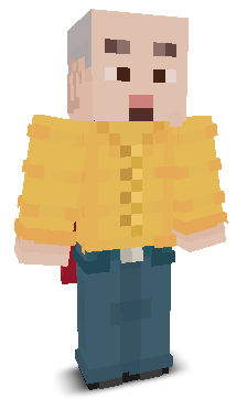 User's Minecraft appearance