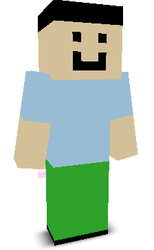 User's Minecraft appearance