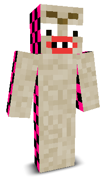 User's Minecraft appearance
