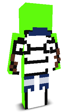 User's Minecraft appearance