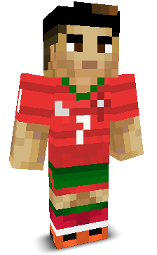 User's Minecraft appearance