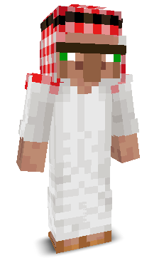User's Minecraft appearance