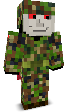 User's Minecraft appearance