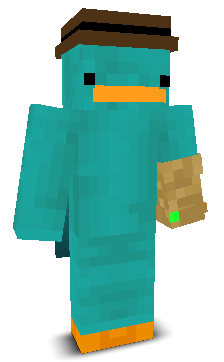 User's Minecraft appearance