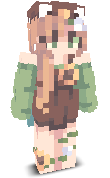 User's Minecraft appearance