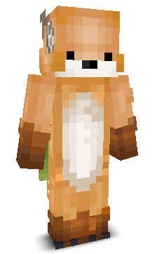 User's Minecraft appearance