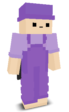 User's Minecraft appearance